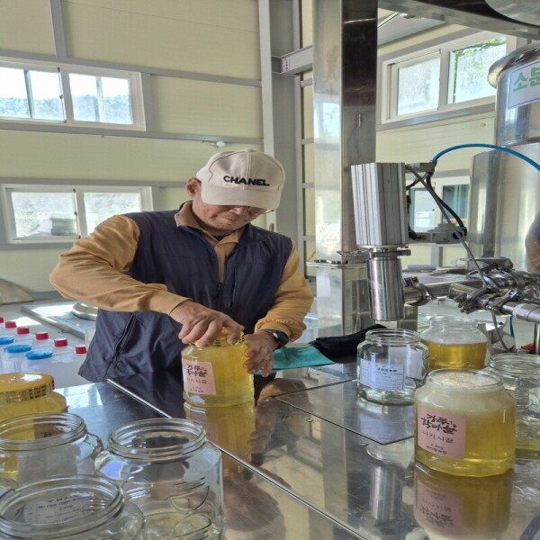 우리들농원,우리들농원 천연아카시아꿀 2.4kg 자연꿀 산지직송