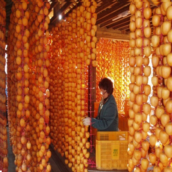 우리들농원,[우리들농원]강릉곶감 건시 한지1호(특대2.7kg/36~42개 말랑한곶감)