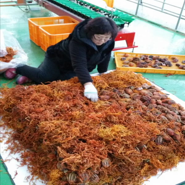 우리들농원,[우리들농원]강릉곶감 건시 한지1호(특대2.7kg/36~42개 말랑한곶감)