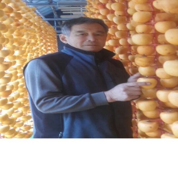 우리들농원,[우리들농원]강릉곶감 건시 실속형1호(2.0kg/36~42개)