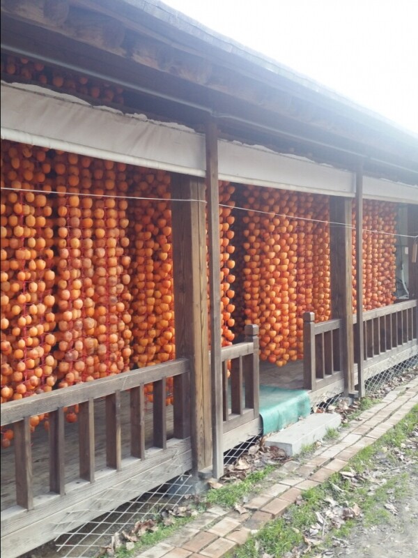 우리들농원,[우리들농원]강릉곶감 건시 실속형1호(2.0kg/36~42개)