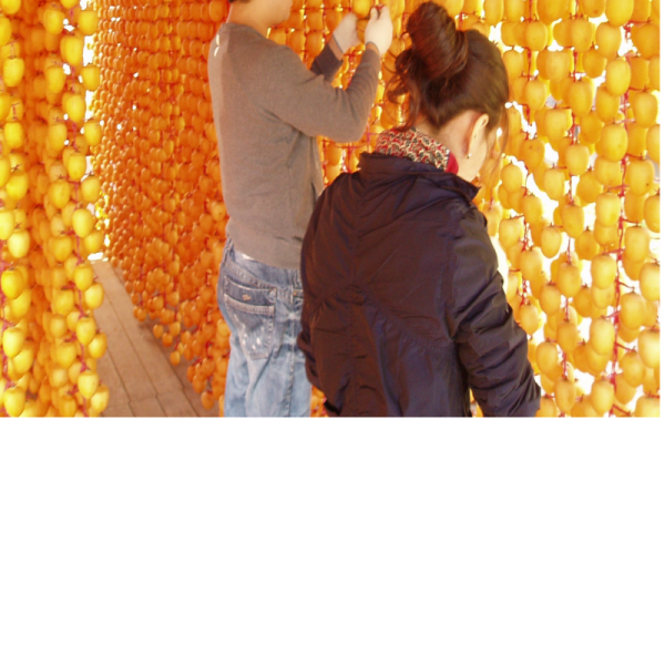 우리들농원,[우리들농원]신사임당곶감1호 (총중량2.3kg 개당 55g이상 30개,말랑한 건시곶감)