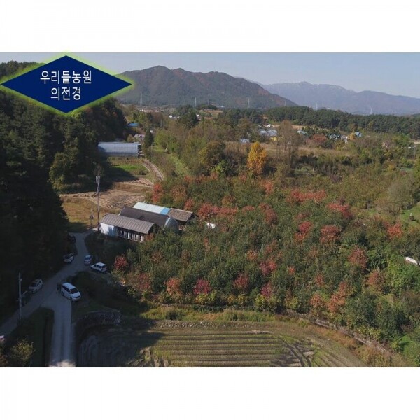 우리들농원,[우리들농원]신사임당곶감2호 (총중량1.5kg 개당 45g이상 30개,말랑한 건시곶감)