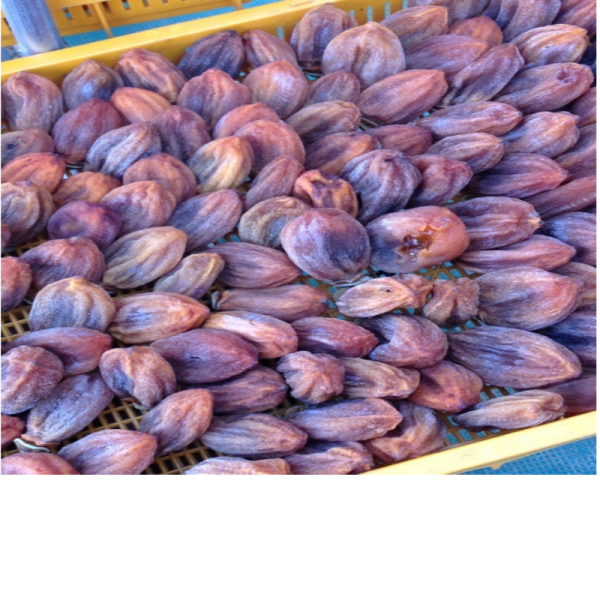 우리들농원,[우리들농원]신사임당곶감3호 (총중량0.8kg 개당 35g이상 20개,말랑한 건시곶감)