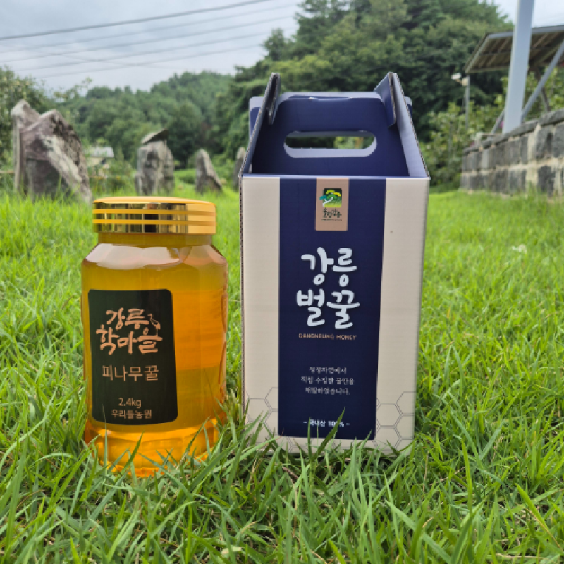 우리들농원,우리들농원 천년피나무꿀2.4kg100%자연꿀 산지직송